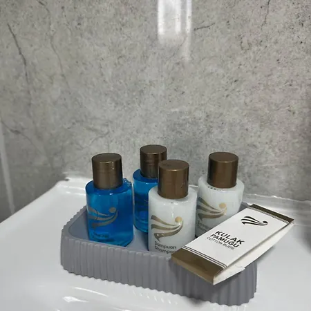 Hotel Yasamkent Atakoru Modern Double Ankara
